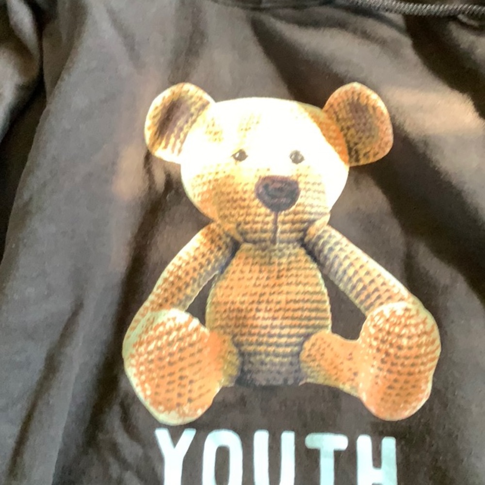 “Youth” Teddy Bear Hoodie